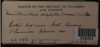 Image Associated With the Occurence